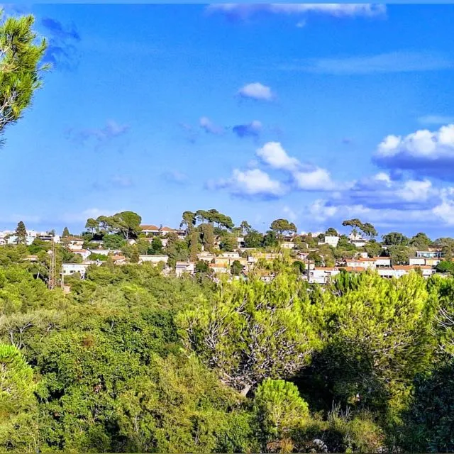 עששיות בכפר החורש: קסם בין עצי החורש ונופי העמק