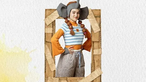 איך אורזים פילים?
