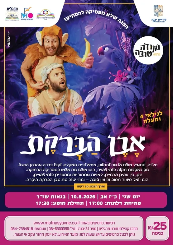 אבן הברקת