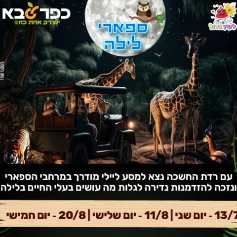 ספארי לילה - פעילות קיץ לילדים