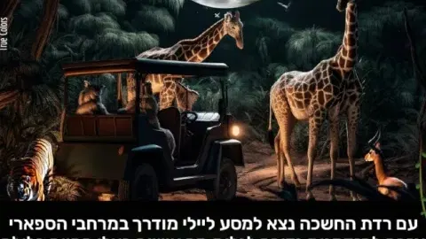 ספארי לילה - פעילות קיץ לילדים