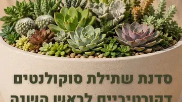 סדנת שתילת סוקולנטים דקורטיביים לכבוד ראש השנה