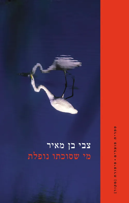 סלון ספרותי