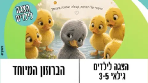 הבית השקוף משה דיין 7