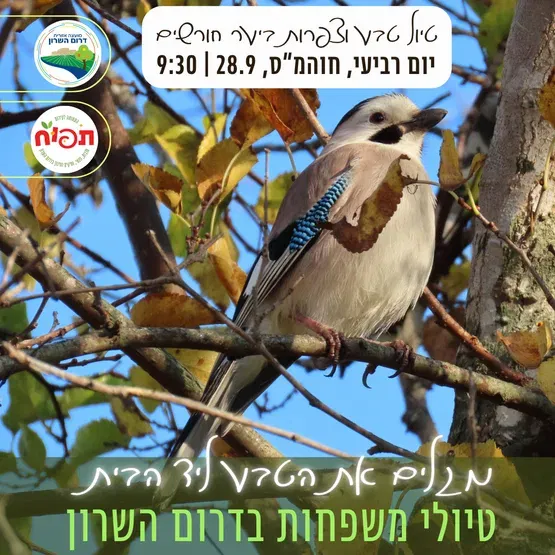סיור טבע וצפרות למשפחות בדרום השרון