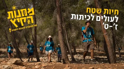 מחנה קיץ: חיות שטח