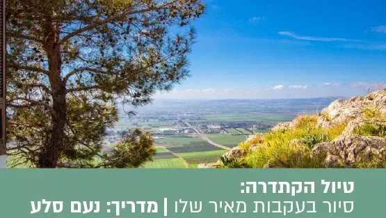 טיול הקתדרה חלוצים, אהבות ואכזבות - סיור בעקבות מאיר שלו