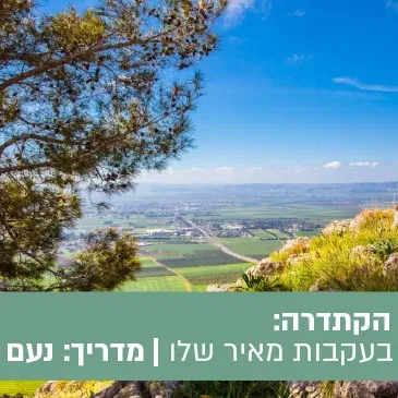 טיול הקתדרה חלוצים, אהבות ואכזבות - סיור בעקבות מאיר שלו