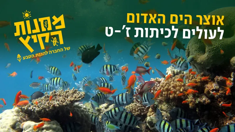 מחנה קיץ: אוצר הים האדום