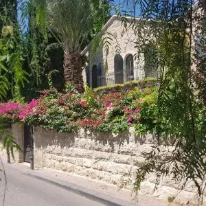 מושבה כפרית בלב העיר – סיורי שבת בירושלים