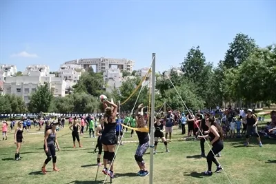 כדורשת על הדשא