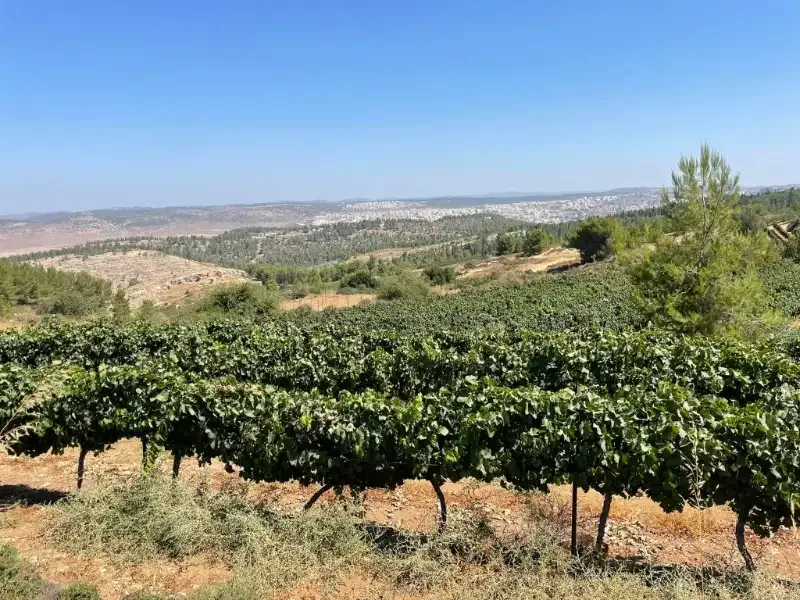 Gush Etzion and its new sites