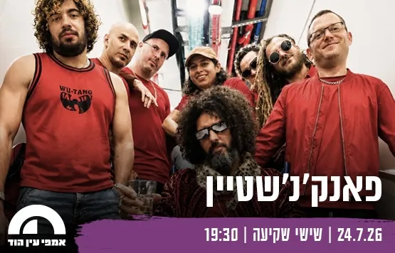 פאנק'נ'שטיין