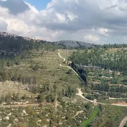 חורש הרי ירושלים, מצור הדסה לבר גיורא