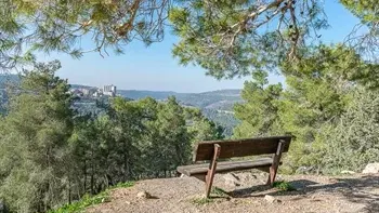 טיול ותיקים לירושלים 7.9 Jerusalem Tiyul Seniors