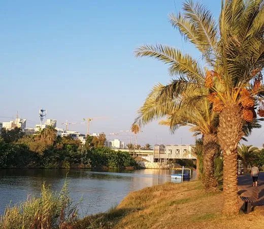"בכל זאת יש בה משהו" - בעקבות פרשיות עלומות בצפון הישן של תל אביב