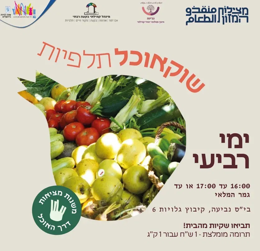 שוקאוכל תלפיות