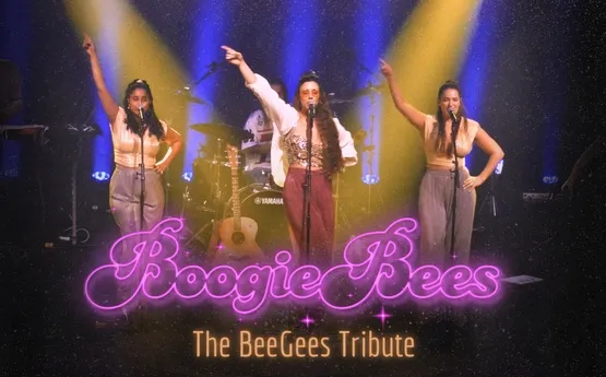 מחווה לביג'יז - BoogieBees