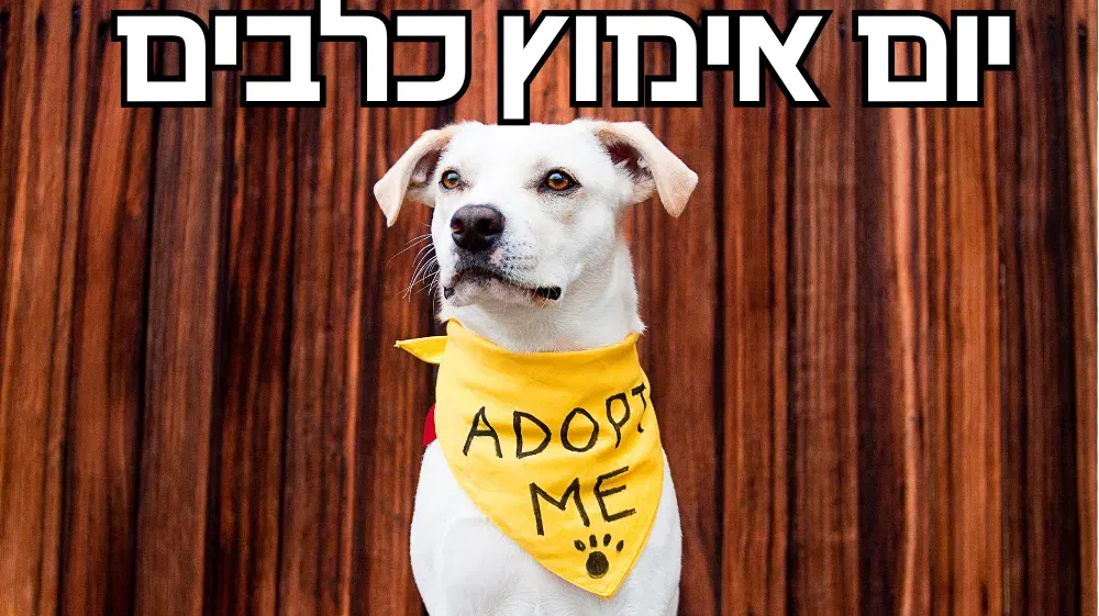 יום אימוץ כלבים