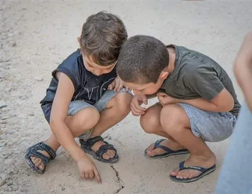 בעקבות חמשת החושים