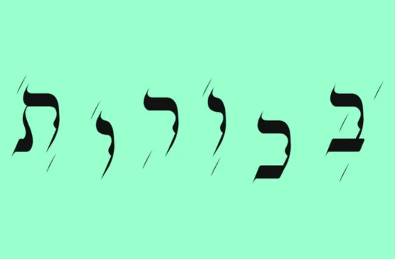 פסטיבל בכורות 2026