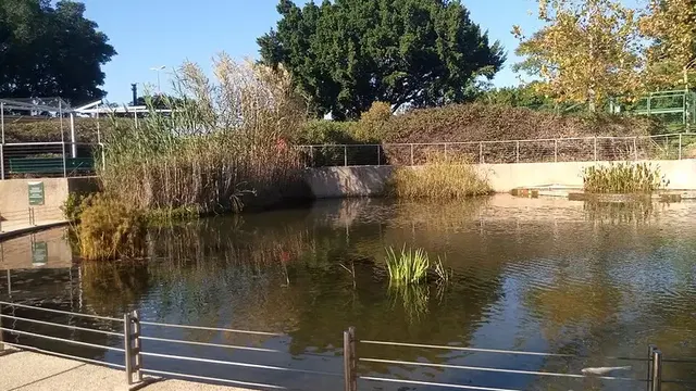 פארק יצחק ולד פארק עירוני