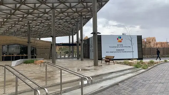 מדבריום