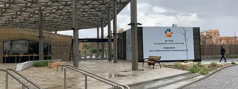 מדבריום