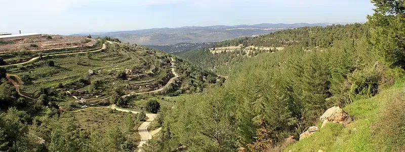 מתנ"ס גוש עציון