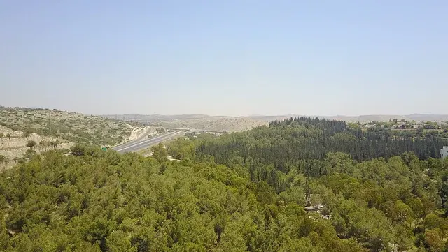 יער ראש העין
