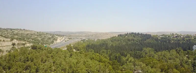 יער ראש העין